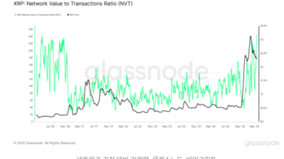 XRP 신규 투자자 증가율 4개월 최저