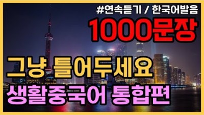 기초생활중국어 1000문장